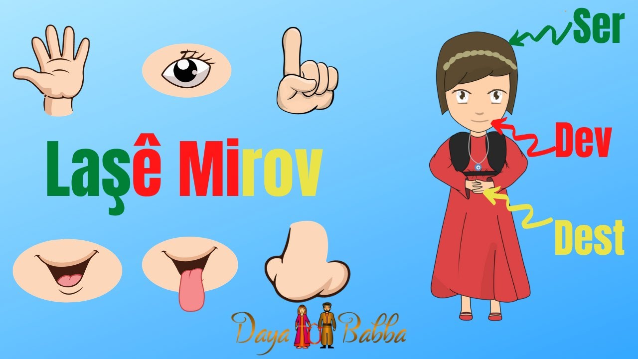 Body Parts in Kurdish ( Kurmanji ) - Laşê Mirov Bi Zimanê Kurdî - Laşê Mirov ( Kurmancî )