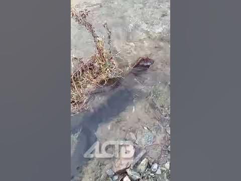 В Южно-Сахалинске порыв: в районе Емельянова-Ленина вода забила ключом ...