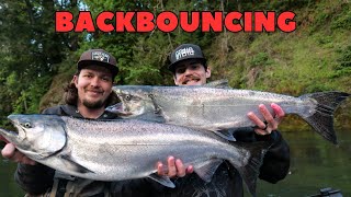 Tributary Spring Chinook Limit | Plug Fishing & Back bouncing! |