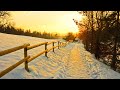 🌌Beautiful Winter Snow Scene + Calming Piano Music For Relaxing, Meditation & Yoga- Deep Sleep Music