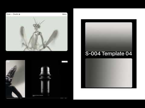 S-004 Animated Templates, a Social Media Template by William Hansen (Thumbnail 5 of 5)