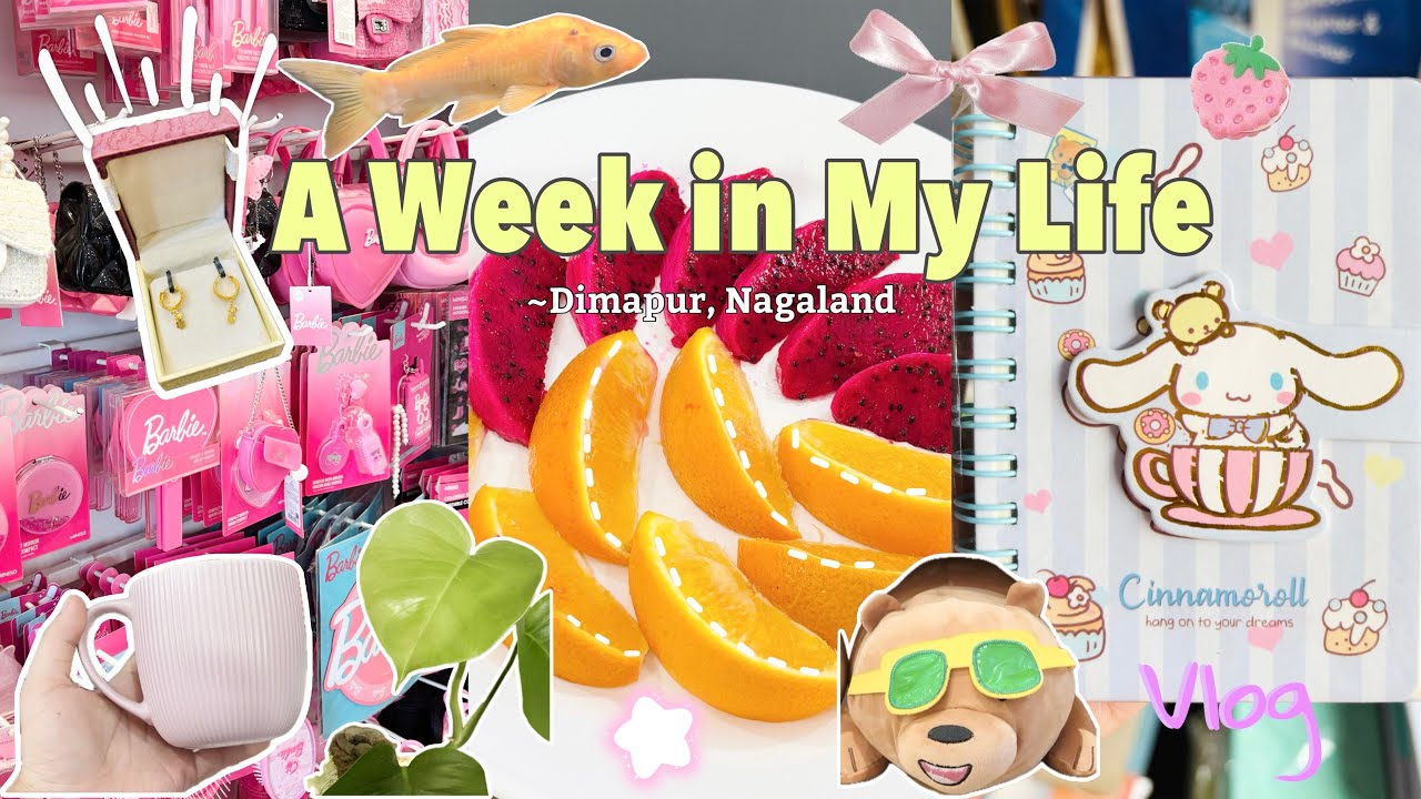 A Week in Dimapur 🌴| Catching up with family in Dimapur🍄| Niece Giggles & Roadside Views🍓