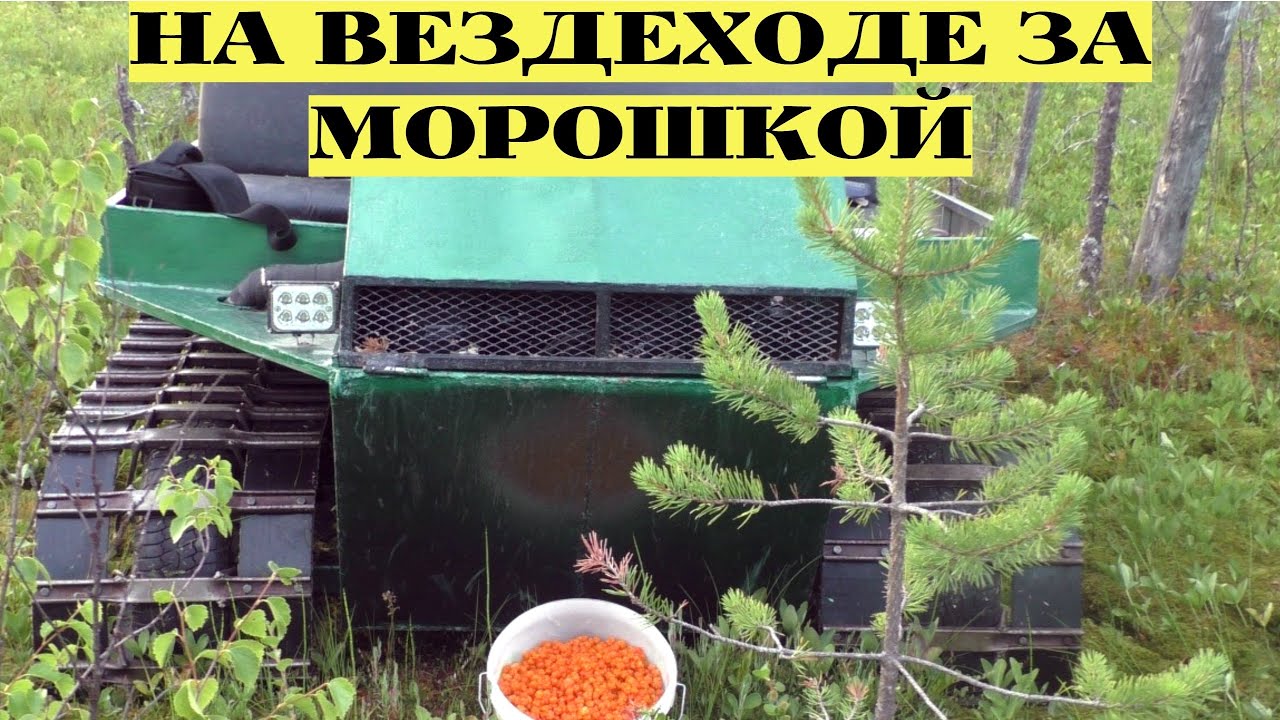 Вытащить машину из болота Вытащить машину из болота
