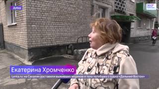 Волонтёры спасли кота, трое суток просидевшего на дереве Волонтёры спасли кота, трое суток просидевшего на дереве