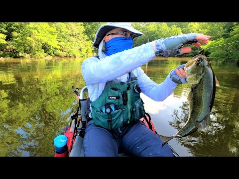 BASS FISHING JOINTED