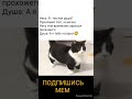 Мем. Негр и его душа #Негр#Душа#youtube#ютуб #топ #мем #лучшее #рекомендации #українапонадусе #реки