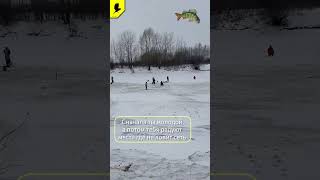 Зимняя рыбалка 2024 #рыбалкавидео #прорыбалку #рыбалка #рыба #окунь #щука #плотва #язь