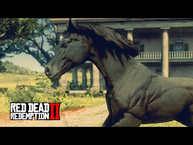 RED DEAD REDEMPTION 2 : DOMAMOS O MELHOR CAVALO DO JOGO! ( PS4 PRO