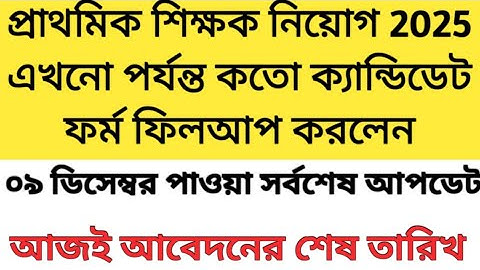 Primary Interview Form Fillup 2025 | Primary Interview| Primary Form Fillup 2025 |2022 tet interview