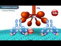 Elearning in medical education  medical animations  proceum pvt ltd trailer