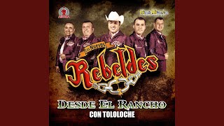 Video thumbnail of "Los Nuevos Rebeldes - Rey de Corazones"