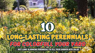 TOP 10 LONG-LASTING PERENNIALS to Keep Your Garden BLOOMING Year-Round! 🌼🎨🌸 // Gardening Ideas