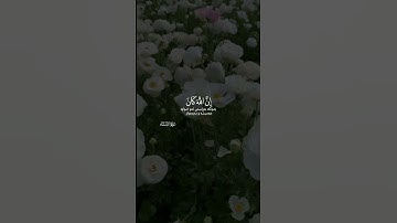 واستغفرالله إن الله كان غفورا رحيما سورة النساء ايه ١٠٦ ناصر القطامي