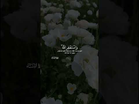 واستغفرالله إن الله كان غفورا رحيما سورة النساء ايه ١٠٦ ناصر القطامي