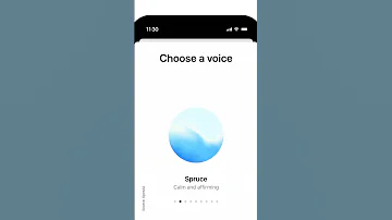 ChatGPT AVM Voices OpenAI TechCrunch 