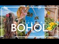 🌴 Una semana en BOHOL 🐒🌿  Panglao | Chocolate Hills, Luciérnagas Loboc River, Tarseros