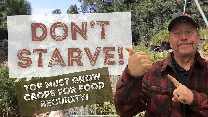 Top 10 SURVIVAL Crops to Keep You From STARVING! (#10 Might Surprise You!)