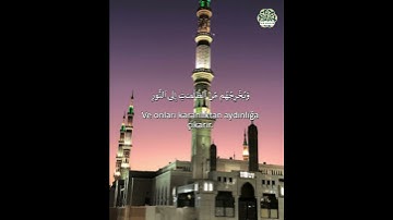 Surah Al Maide سورة المائدة  #nuralsalam #quranchapter #mehmet #اكسبلور #تيك_توك #المصحف #quransurah