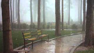 barane eshgh.wmv screenshot 5