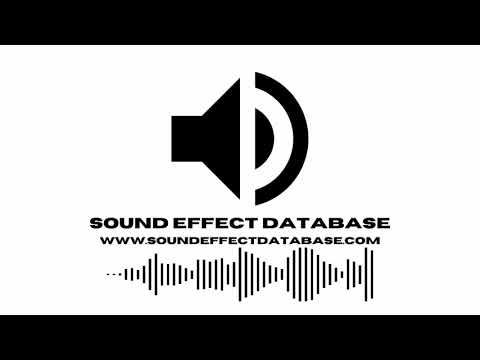 Python Burmese Hiss Sound Effect