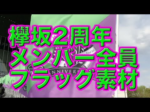 欅坂46 2周年アニバーサリーライブ最終日の入り口フラッグ素材動画