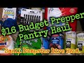 16 budget prepper pantry haul family dollarfun dumpster diving findprepperpantry foodsecurity