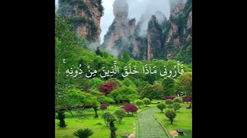 حالات واتس اب قران بصوت القارئ شريف مصطفى | تلاوة خاشعة | هَٰذَا خَلْقُ اللَّهِ
