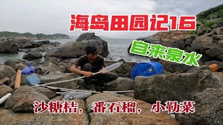 海岛田园计划，建立山泉自来水，开启果园新计划