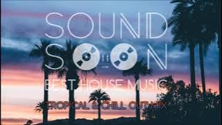 MUSICA DA APERITIVO RELAX 2020 TROPICAL HOUSE 🌴 Dua Lipa, Martin Garrix, Kygo, Sia Style 🌴 Chill Out