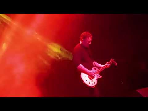 The Chameleons in Perú 2026:Perfume Garden
