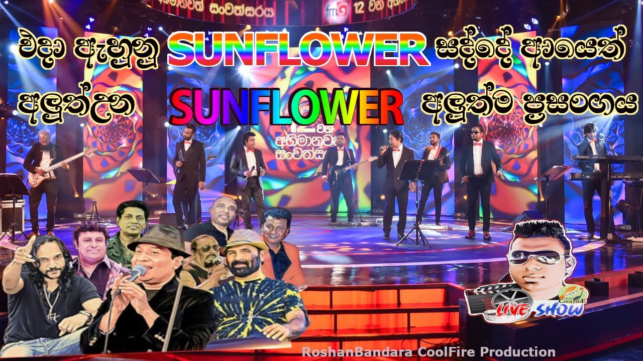 Sunflower New Generation Live Show    Sunflower  