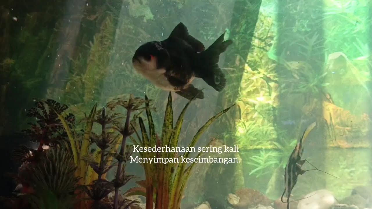 DENNY CAKNAN FULL ALBUM TERBARU | LAGU JAWA POPULER | TUNGGAL EKA | ROPANG | SINARENGAN | SIGAR