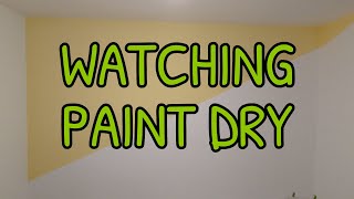 WATCHING PAINT DRY | 2 HOURS CONTINUOUS IN FULL HD | NOT LOOPED by Froy Whernside 218 views 1 year ago 2 hours, 6 minutes