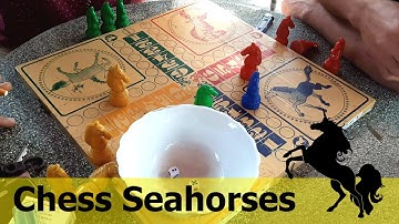 Tập 380 - Ván Cờ Đề Xuất Cho Bạn, Xem Giải Trí - Vạn Kỳ Thế Chiến [Cờ Cá Ngựa]