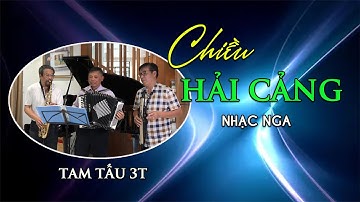 CHIỀU HẢI CẢNG l TAM TẤU 3T
