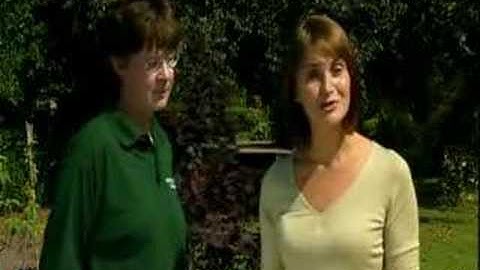 GTECH HT01 Cordless Hedgetrimmer