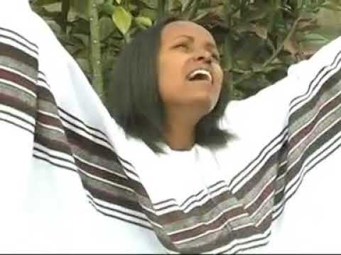 Maal Jennaree Farfattuu Taliilee Fiqruu 