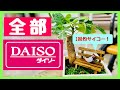 【全部100円】癒しのミニチュアグリーンスポット【パキラ】