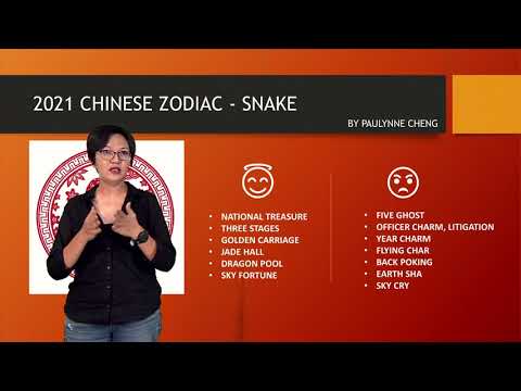 2021 Chinese Zodiac - Snake