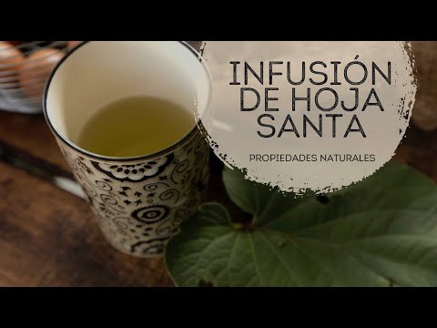 Infusion De Hoja Santa Propiedades Youtube