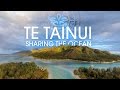 Te tainui by fone