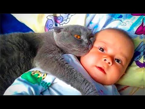 Кот не оставляет малыша одного, родители узнали почему и вызвали полицию!