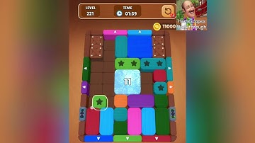 Wood Escape Color Block Level 221