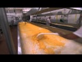 TVO's Making Stuff: How Ivanhoe makes Marble Cheddar Cheese