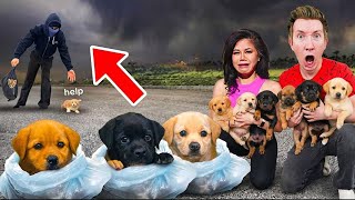 The Puppy Thief Face Reveal Vys Secret Lover? Chad Wild Clay Vy Qwaint Daniel