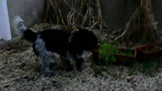 20100126_Ebenchat.MOV