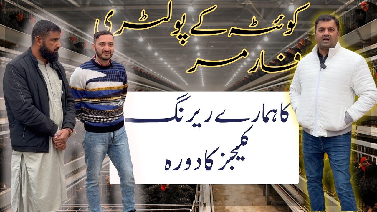 Old Poultry Farmer from Quetta Visited Our Rearing Cages
