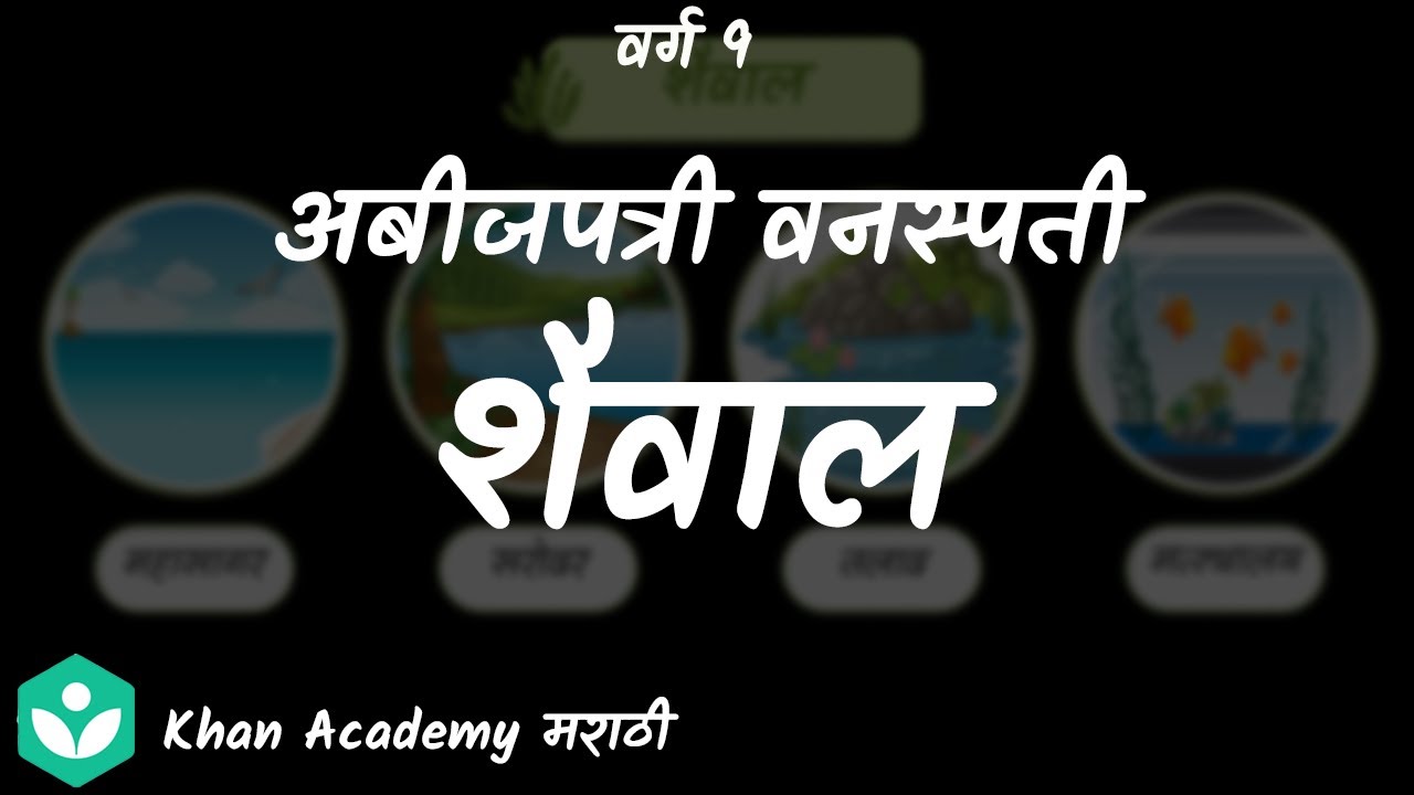 Cryptogams (Algae)  [Marathi] |Classification of Plants | Grade 9 | Science | Khan Academy