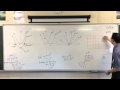Effects of Transformations on Graphs