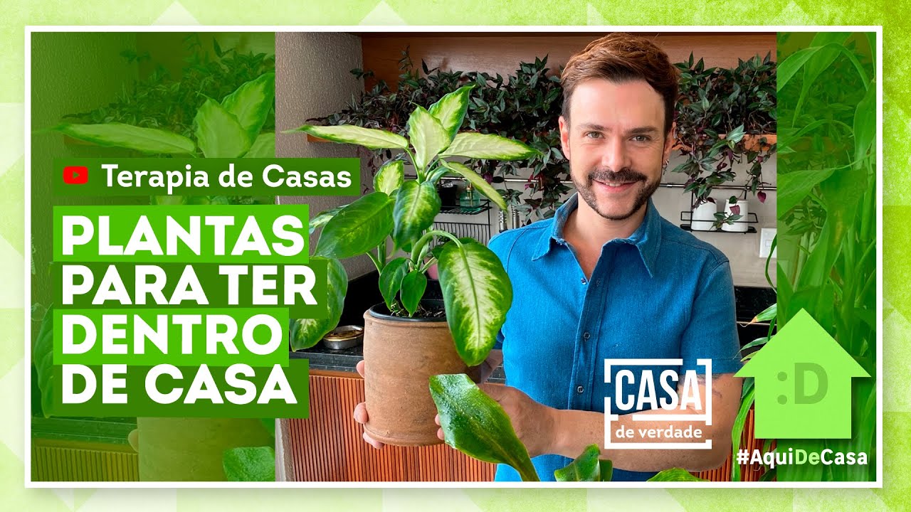 Dicas de plantas naturais para o Feng Shui com Luiz Netto - thptnganamst.edu.vn